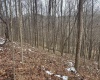 Lot 1 States Fork Road, Metz, West Virginia 26585, ,Lots/land,For Sale,States Fork,10162745