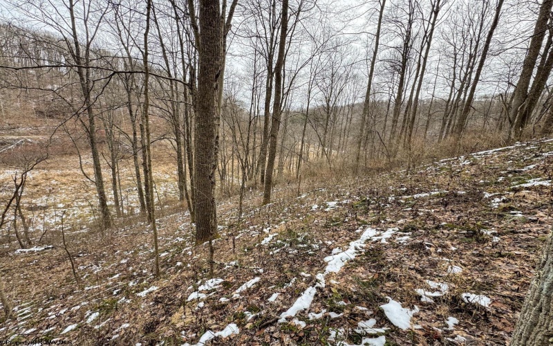 Lot 1 States Fork Road, Metz, West Virginia 26585, ,Lots/land,For Sale,States Fork,10162745