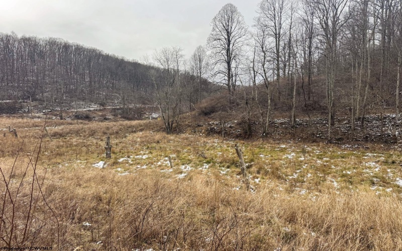 Lot 1 States Fork Road, Metz, West Virginia 26585, ,Lots/land,For Sale,States Fork,10162745