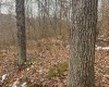 Lot 1 States Fork Road, Metz, West Virginia 26585, ,Lots/land,For Sale,States Fork,10162745