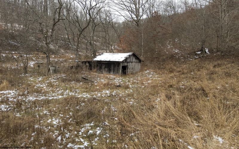 Lot 1 States Fork Road, Metz, West Virginia 26585, ,Lots/land,For Sale,States Fork,10162745