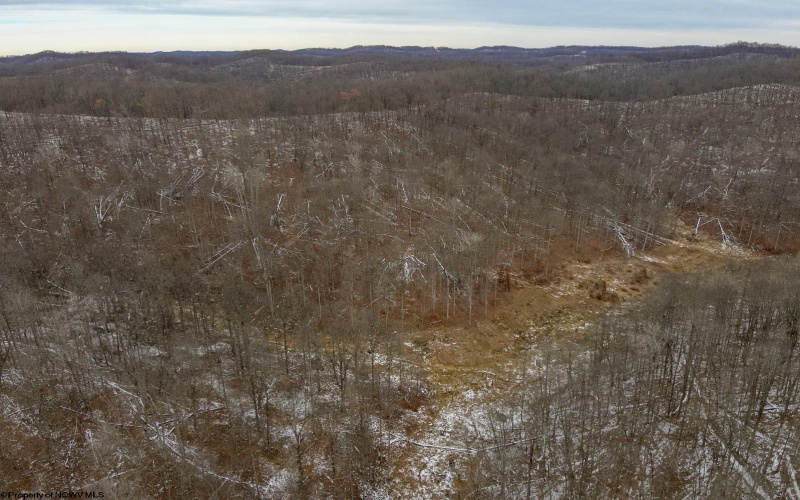 Lot 1 States Fork Road, Metz, West Virginia 26585, ,Lots/land,For Sale,States Fork,10162745