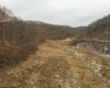 Lot 1 States Fork Road, Metz, West Virginia 26585, ,Lots/land,For Sale,States Fork,10162745