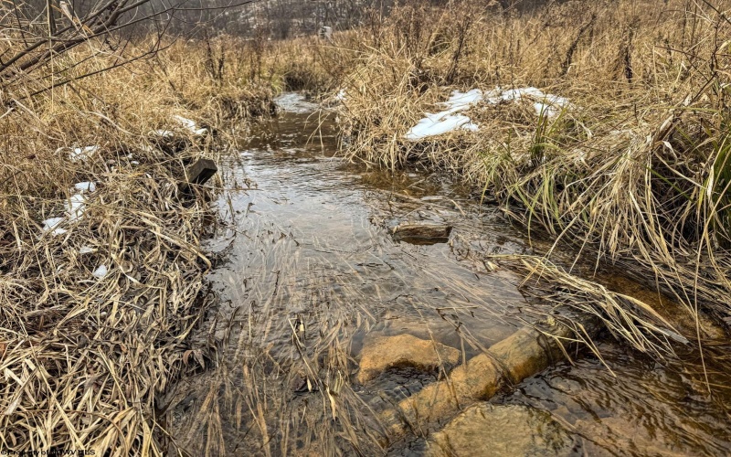 Lot 1 States Fork Road, Metz, West Virginia 26585, ,Lots/land,For Sale,States Fork,10162745