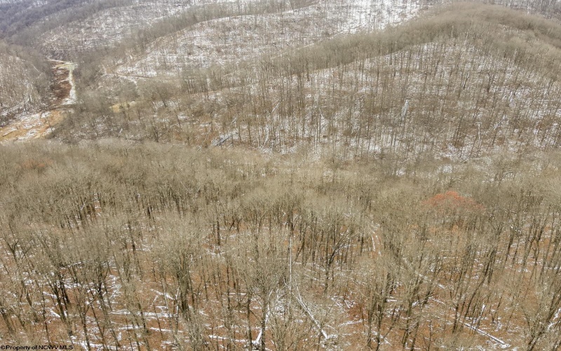 Lot 1 States Fork Road, Metz, West Virginia 26585, ,Lots/land,For Sale,States Fork,10162745