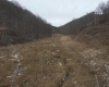 Lot 1 States Fork Road, Metz, West Virginia 26585, ,Lots/land,For Sale,States Fork,10162745