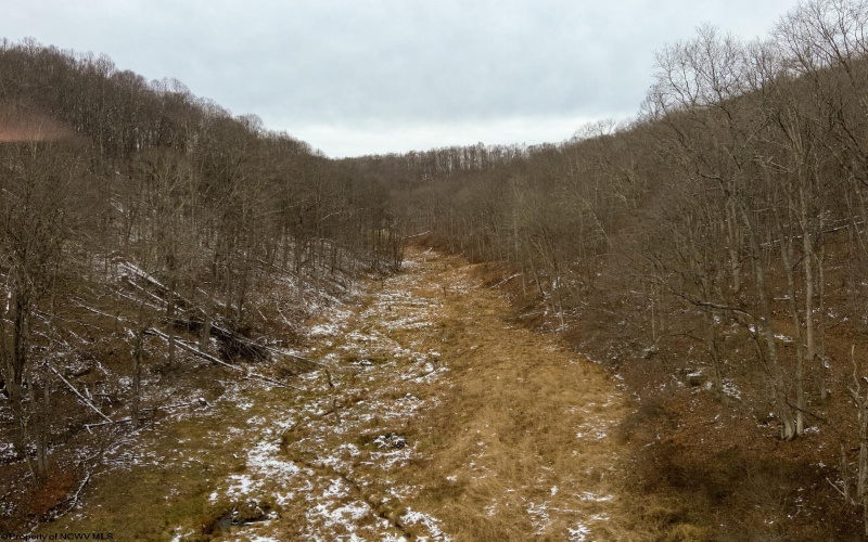 Lot 1 States Fork Road, Metz, West Virginia 26585, ,Lots/land,For Sale,States Fork,10162745