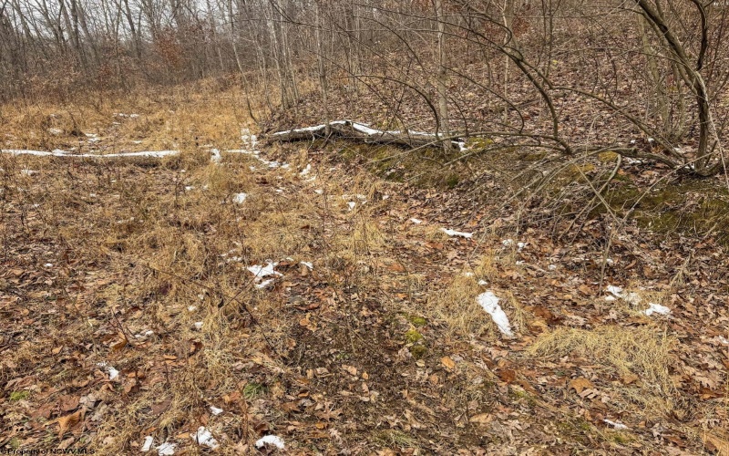 Lot 1 States Fork Road, Metz, West Virginia 26585, ,Lots/land,For Sale,States Fork,10162745