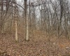 Lot 1 States Fork Road, Metz, West Virginia 26585, ,Lots/land,For Sale,States Fork,10162745
