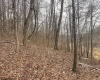 Lot 1 States Fork Road, Metz, West Virginia 26585, ,Lots/land,For Sale,States Fork,10162745