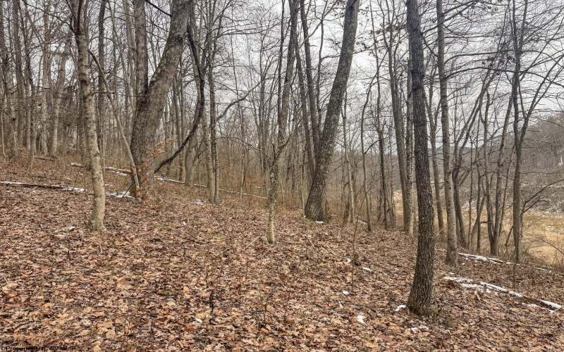 Lot 1 States Fork Road, Metz, West Virginia 26585, ,Lots/land,For Sale,States Fork,10162745