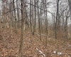 Lot 1 States Fork Road, Metz, West Virginia 26585, ,Lots/land,For Sale,States Fork,10162745