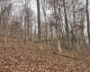 Lot 1 States Fork Road, Metz, West Virginia 26585, ,Lots/land,For Sale,States Fork,10162745