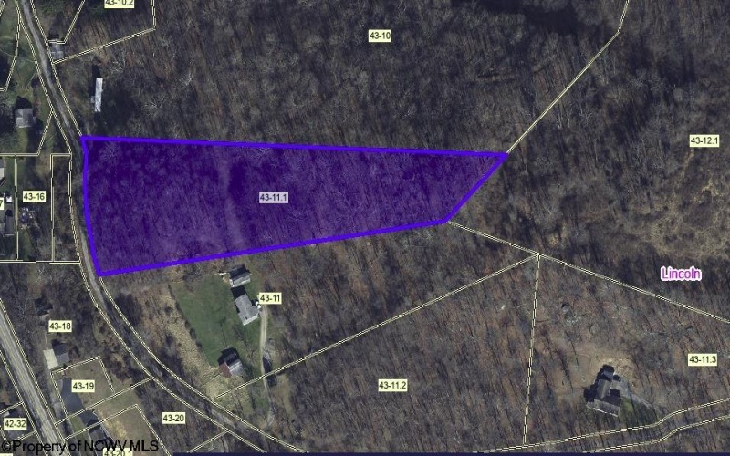 00 Helens Run Road, Worthington, West Virginia 26591, ,Lots/land,For Sale,Helens Run,10162757 00 Helens Run Road, Worthington, West Virginia 26591, ,Lots/land,For Sale,Helens Run,10162757