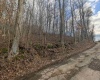 00 Helens Run Road, Worthington, West Virginia 26591, ,Lots/land,For Sale,Helens Run,10162757 00 Helens Run Road, Worthington, West Virginia 26591, ,Lots/land,For Sale,Helens Run,10162757