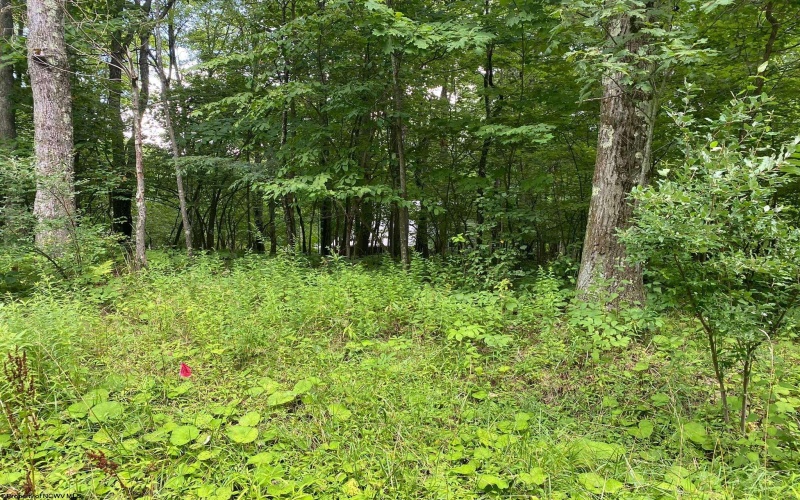 Lot 72 Oak Drive, Terra Alta, West Virginia 26764, ,Lots/land,For Sale,Oak,10162774 Lot 72 Oak Drive, Terra Alta, West Virginia 26764, ,Lots/land,For Sale,Oak,10162774