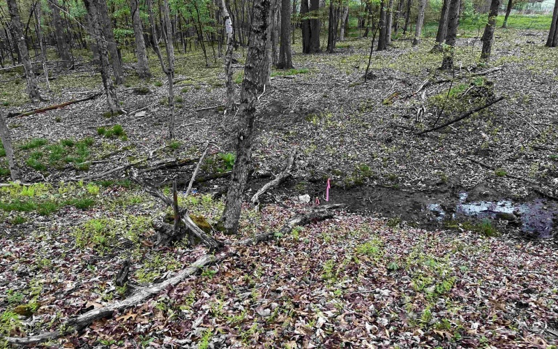 TBD West Street, Reedsville, West Virginia 26547, ,Lots/land,For Sale,West,10159870 TBD West Street, Reedsville, West Virginia 26547, ,Lots/land,For Sale,West,10159870