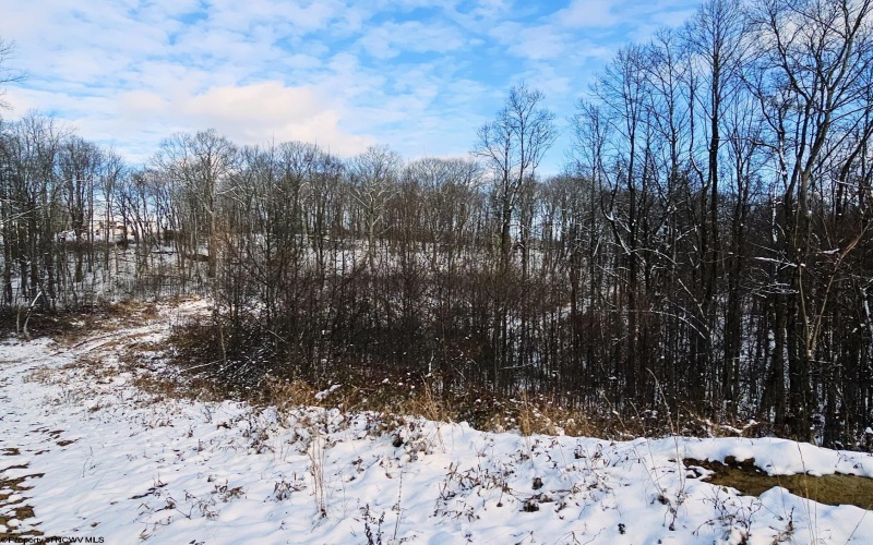 TBD Veterans Memorial Highway, Kingwood, West Virginia 26537, ,Lots/land,For Sale,Veterans Memorial,10162791