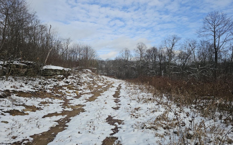 TBD Veterans Memorial Highway, Kingwood, West Virginia 26537, ,Lots/land,For Sale,Veterans Memorial,10162791