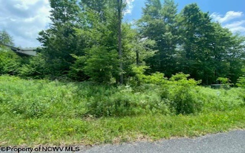 Lot 33 Canal Street, Davis, West Virginia 26260, ,Lots/land,For Sale,Canal,10156309 Lot 33 Canal Street, Davis, West Virginia 26260, ,Lots/land,For Sale,Canal,10156309