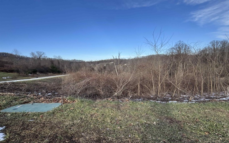 lots 21 & 22 David Daniels Drive, Fairmont, West Virginia 26554, ,Lots/land,For Sale,David Daniels,10162810
