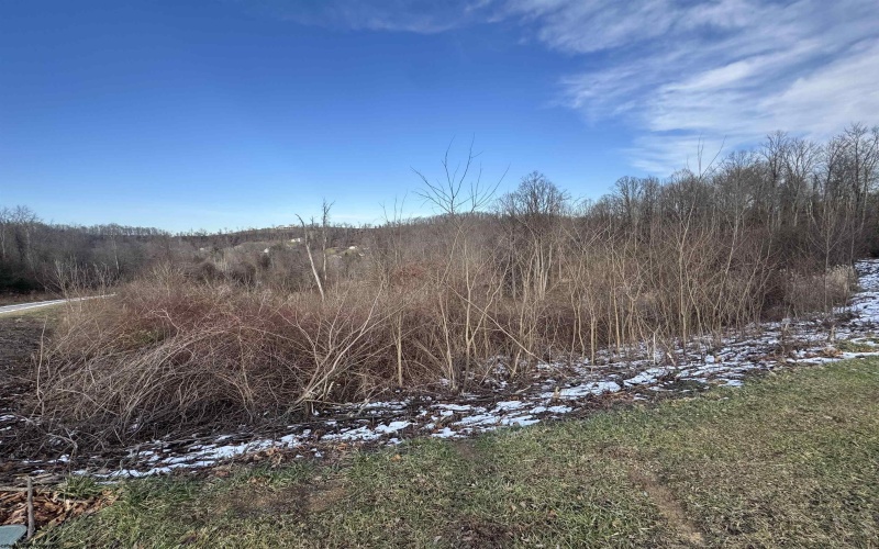 lots 21 & 22 David Daniels Drive, Fairmont, West Virginia 26554, ,Lots/land,For Sale,David Daniels,10162810