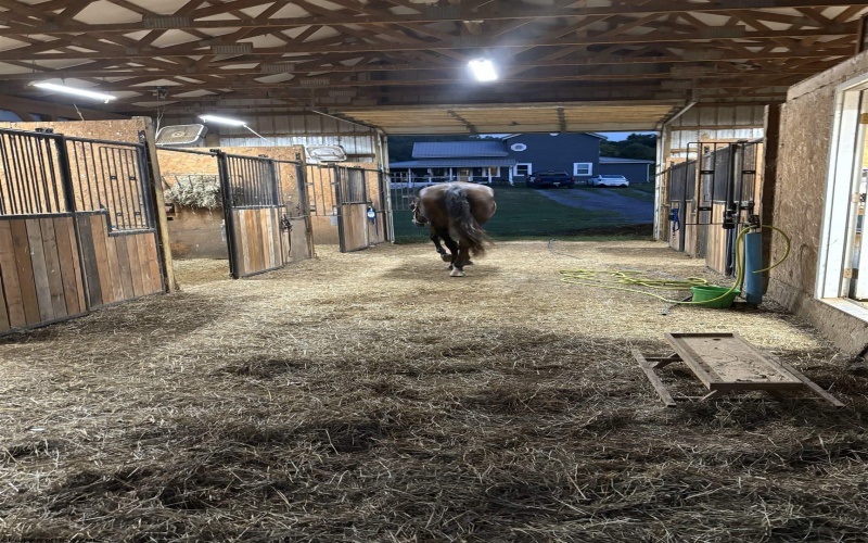 74 Long Meadow Lane, Worthington, West Virginia 26591, ,Lots/land,For Sale,Long Meadow,10159591