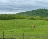 74 Long Meadow Lane, Worthington, West Virginia 26591, ,Lots/land,For Sale,Long Meadow,10159591