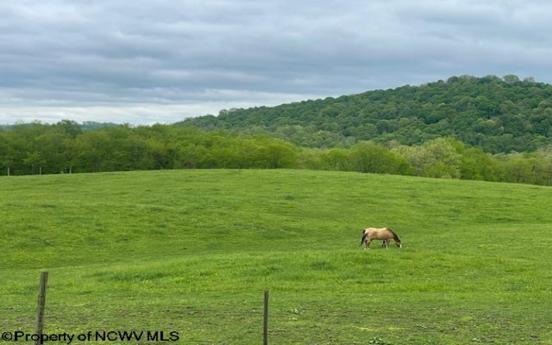 74 Long Meadow Lane, Worthington, West Virginia 26591, ,Lots/land,For Sale,Long Meadow,10159591
