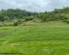 74 Long Meadow Lane, Worthington, West Virginia 26591, ,Lots/land,For Sale,Long Meadow,10159591