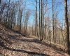 TBD Lynn Chapel Road, Grafton, West Virginia 26354, ,Lots/land,For Sale,Lynn Chapel,10162846
