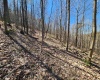 TBD Lynn Chapel Road, Grafton, West Virginia 26354, ,Lots/land,For Sale,Lynn Chapel,10162846
