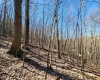 TBD Lynn Chapel Road, Grafton, West Virginia 26354, ,Lots/land,For Sale,Lynn Chapel,10162846