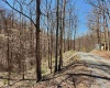 TBD Lynn Chapel Road, Grafton, West Virginia 26354, ,Lots/land,For Sale,Lynn Chapel,10162846