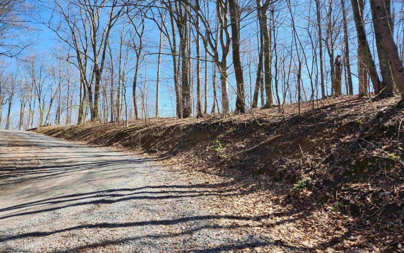 TBD Lynn Chapel Road, Grafton, West Virginia 26354, ,Lots/land,For Sale,Lynn Chapel,10162846