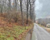 TBD Toms Run Road, Roanoke, West Virginia 26447, ,Lots/land,For Sale,Toms Run,10162849