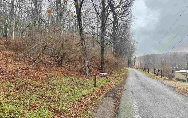 TBD Toms Run Road, Roanoke, West Virginia 26447, ,Lots/land,For Sale,Toms Run,10162849