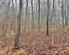TBD Toms Run Road, Roanoke, West Virginia 26447, ,Lots/land,For Sale,Toms Run,10162849