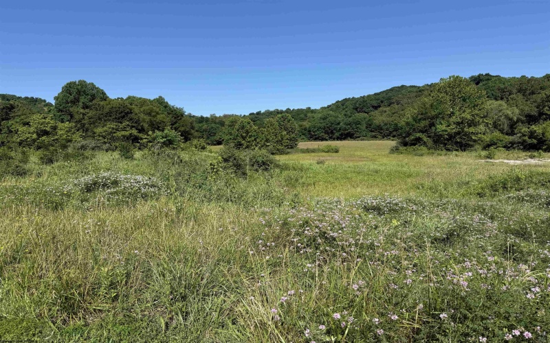 TBD Middletown Road, Fairmont, West Virginia 26554, 0 , 0 ,0,Lots/land,For Sale,Middletown,0,10162855 TBD Middletown Road, Fairmont, West Virginia 26554, 0 , 0 ,0,Lots/land,For Sale,Middletown,0,10162855