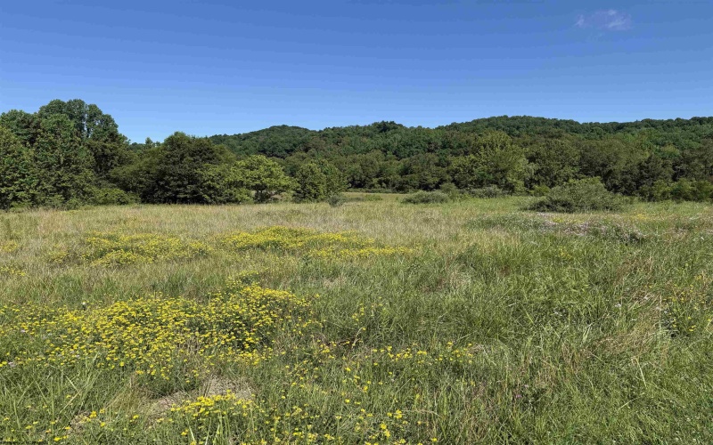 TBD Middletown Road, Fairmont, West Virginia 26554, 0 , 0 ,0,Lots/land,For Sale,Middletown,0,10162855 TBD Middletown Road, Fairmont, West Virginia 26554, 0 , 0 ,0,Lots/land,For Sale,Middletown,0,10162855