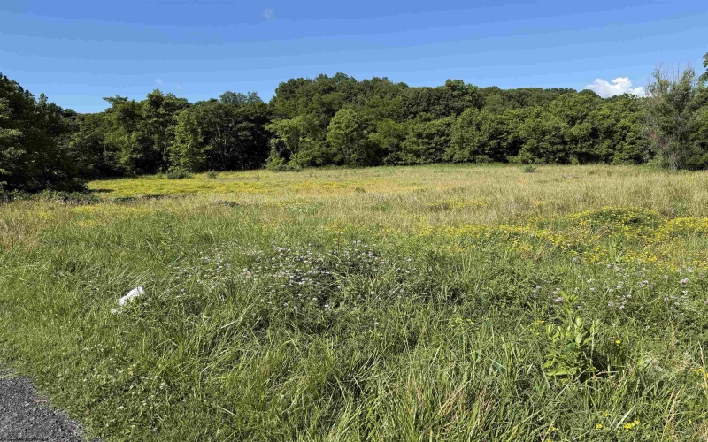TBD Middletown Road, Fairmont, West Virginia 26554, 0 , 0 ,0,Lots/land,For Sale,Middletown,0,10162855 TBD Middletown Road, Fairmont, West Virginia 26554, 0 , 0 ,0,Lots/land,For Sale,Middletown,0,10162855