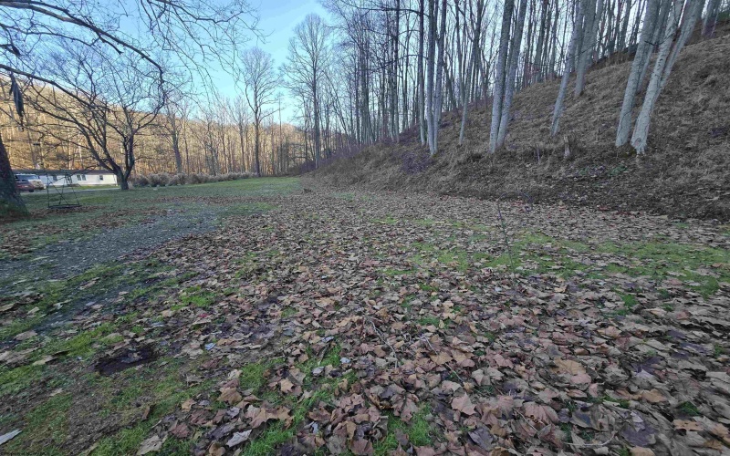 7720 US HWY 33 W Road, Camden, West Virginia 26330, 3 Bedrooms Bedrooms, 9 Rooms Rooms,2 BathroomsBathrooms,Single Family Detached,For Sale,US HWY 33 W,10162862