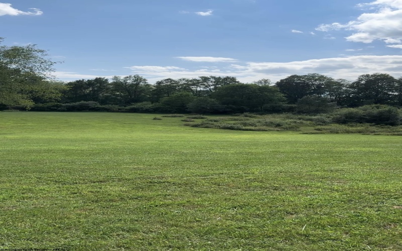 104 Midway Loop, Elkins, West Virginia 26241, 2 Bedrooms Bedrooms, 5 Rooms Rooms,2 BathroomsBathrooms,Single Family Detached,For Sale,Midway,10162858