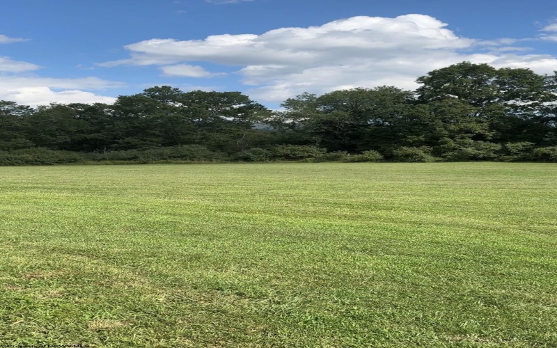 104 Midway Loop, Elkins, West Virginia 26241, 2 Bedrooms Bedrooms, 5 Rooms Rooms,2 BathroomsBathrooms,Single Family Detached,For Sale,Midway,10162858