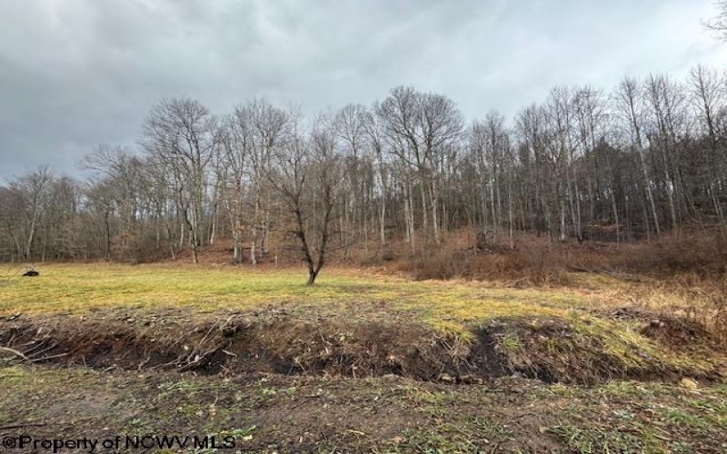 Lot 2 Trail View Lane, Masontown, West Virginia 26542, ,Lots/land,For Sale,Trail View,10162895 Lot 2 Trail View Lane, Masontown, West Virginia 26542, ,Lots/land,For Sale,Trail View,10162895