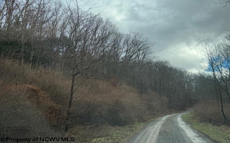 Lot 2 Trail View Lane, Masontown, West Virginia 26542, ,Lots/land,For Sale,Trail View,10162895 Lot 2 Trail View Lane, Masontown, West Virginia 26542, ,Lots/land,For Sale,Trail View,10162895
