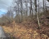 Lot 2 Trail View Lane, Masontown, West Virginia 26542, ,Lots/land,For Sale,Trail View,10162895 Lot 2 Trail View Lane, Masontown, West Virginia 26542, ,Lots/land,For Sale,Trail View,10162895