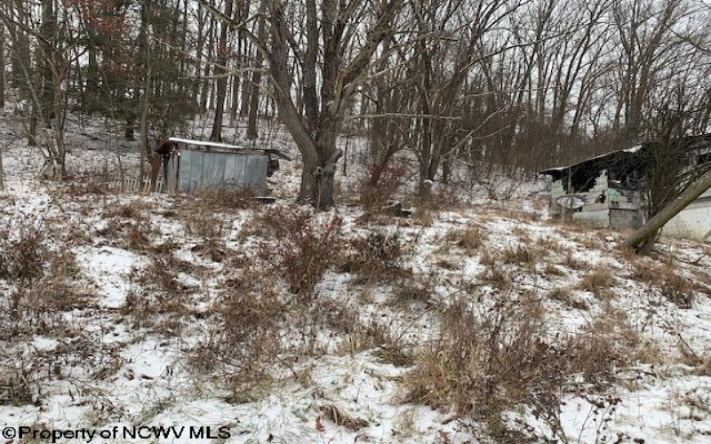 10 Thorne Avenue, Elkins, West Virginia 26241, ,Lots/land,For Sale,Thorne,10162894