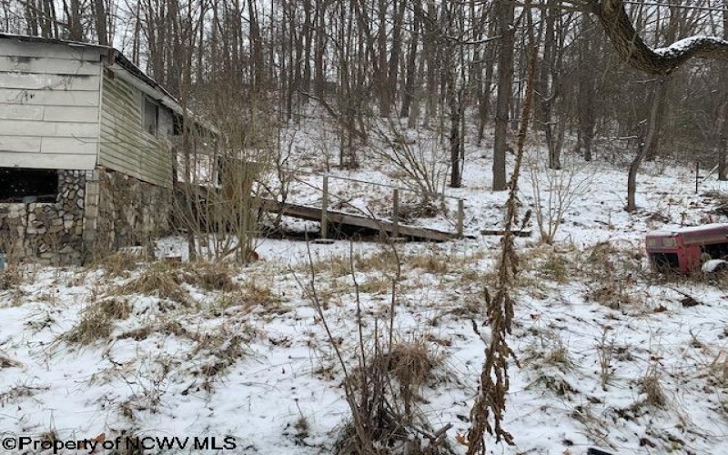 10 Thorne Avenue, Elkins, West Virginia 26241, ,Lots/land,For Sale,Thorne,10162894