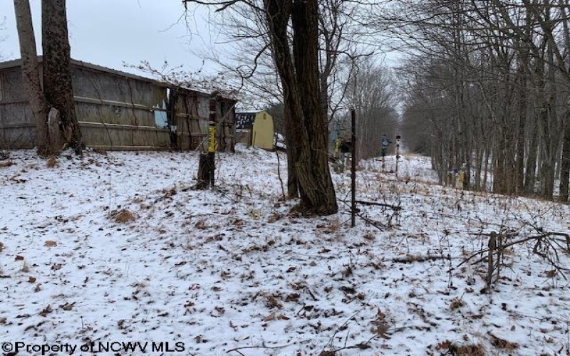 TBD Mt. Hebron Road, Volga, West Virginia 26238, ,Lots/land,For Sale,Mt. Hebron,10162901 TBD Mt. Hebron Road, Volga, West Virginia 26238, ,Lots/land,For Sale,Mt. Hebron,10162901